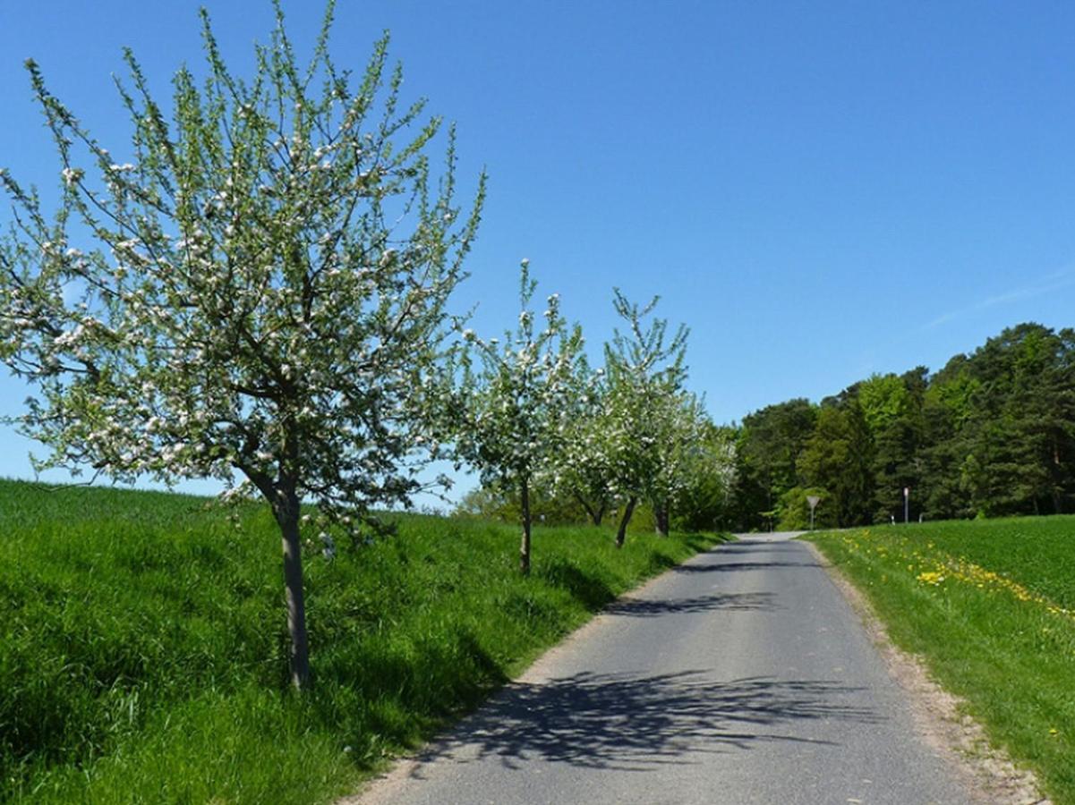 Ferienwohnung Familie Jacobi "Kurfuerst" Naumburg  ภายนอก รูปภาพ