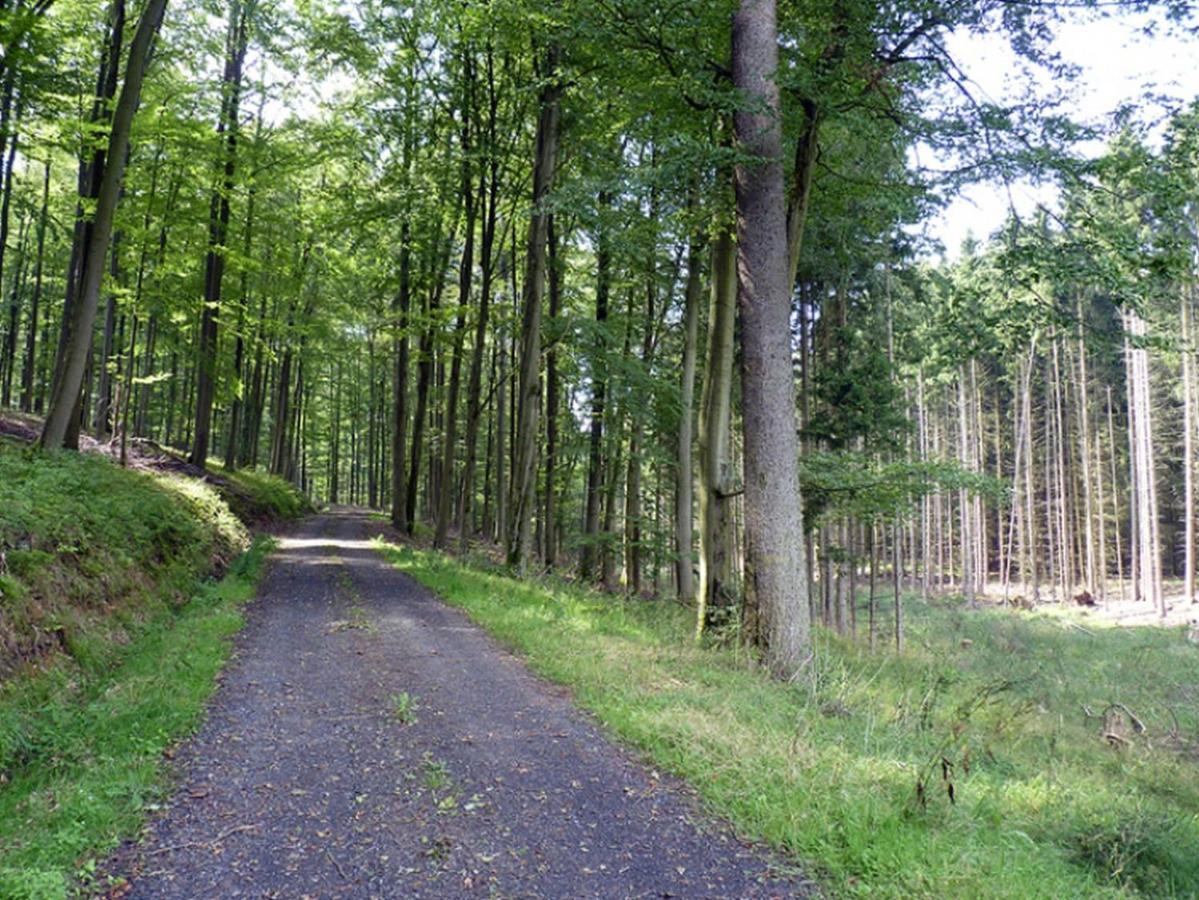 Ferienwohnung Familie Jacobi "Kurfuerst" Naumburg  ภายนอก รูปภาพ
